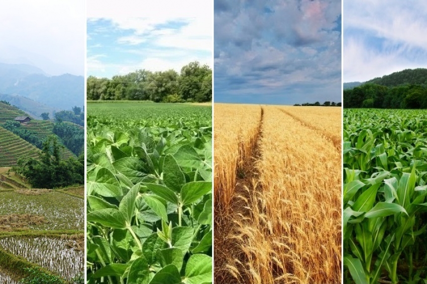 NASA: Impactul schimbărilor climatice asupra agriculturii va fi vizibil în 10 ani