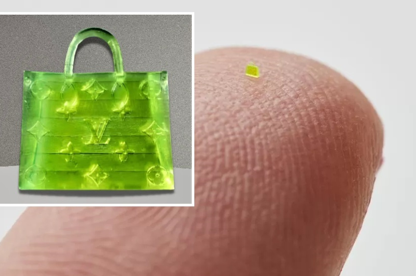 Microscopic handbag 'smaller than grain of salt' sells for more