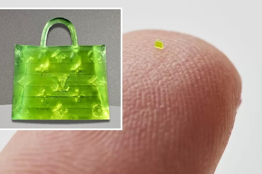 3D-printed microscopic bag fetches 63,750 dollars at auction