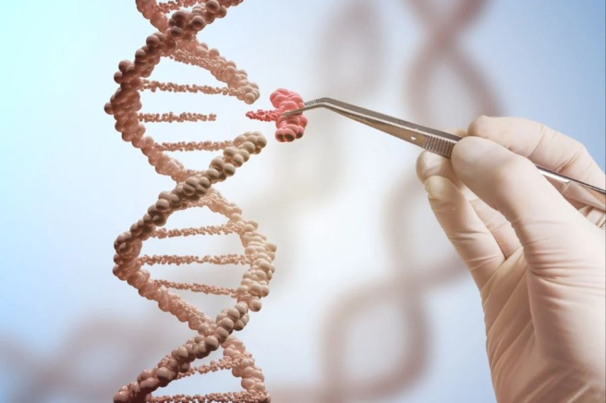Chinese researchers claim discovery of gene editing tool better than CRISPR