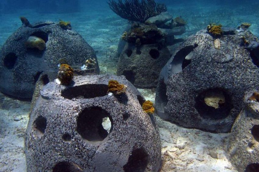 Research: Artificial reefs can mimic real coral reefs