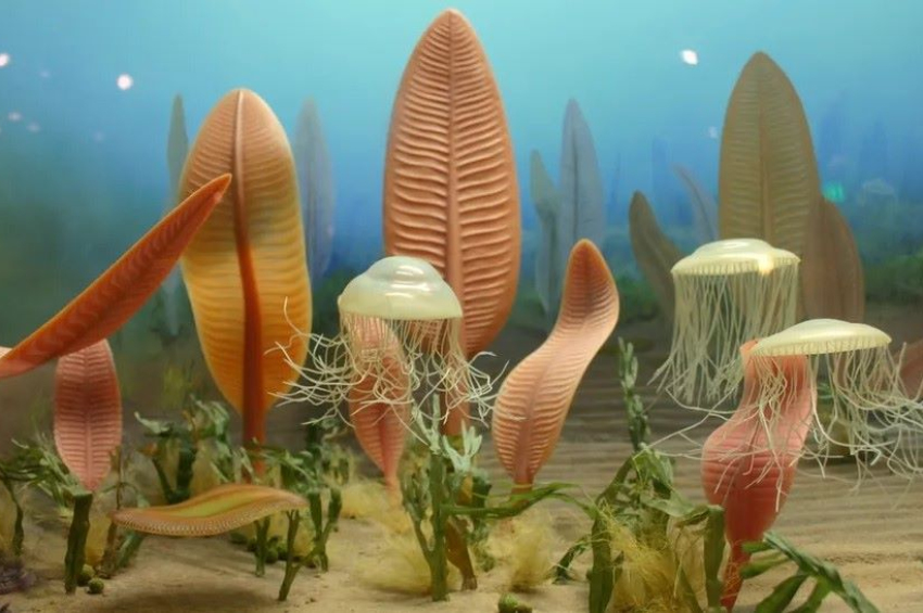 Near-collapse of Earth’s magnetic field 591 million years ago was a burst to ...