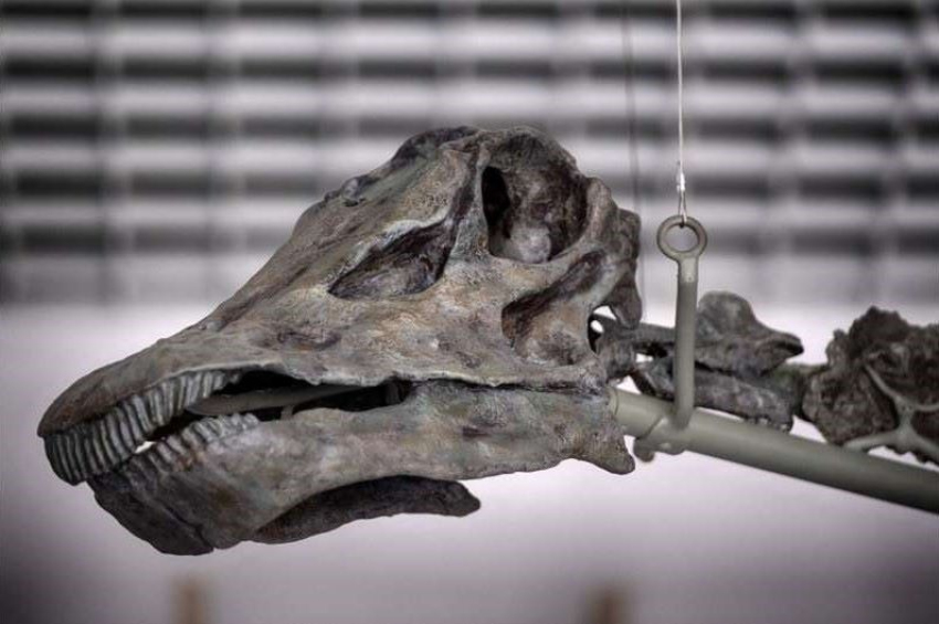 [video] Los Angeles museum exhibits the world’s only green-boned dinosaur
