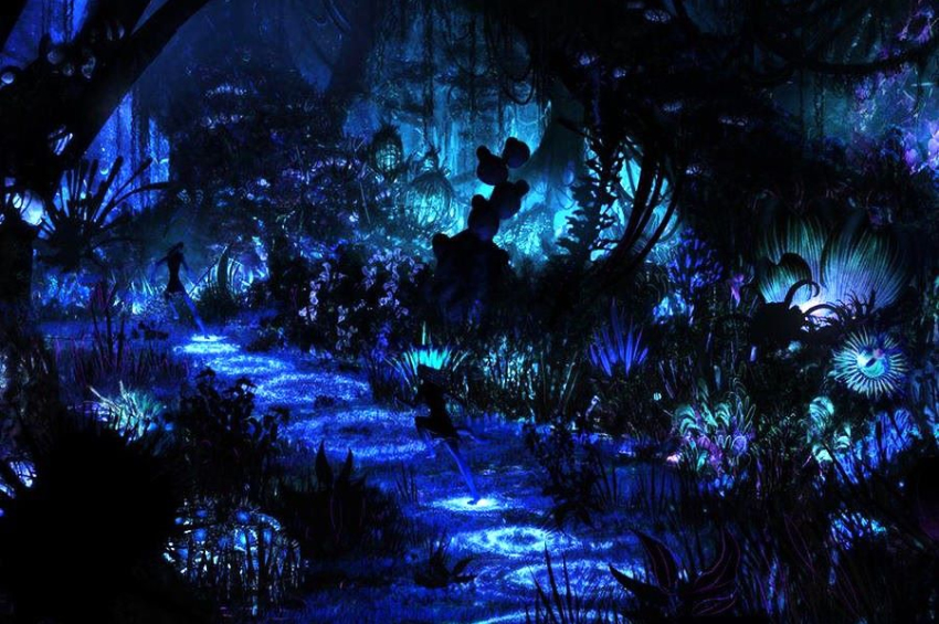 Study: All living organisms emit light that fades after death
