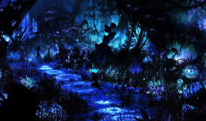 Study: All living organisms emit light that fades after death