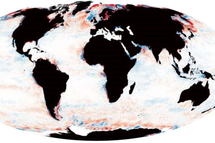 More than one-fifth of global ocean has darkened in past 20 years – study