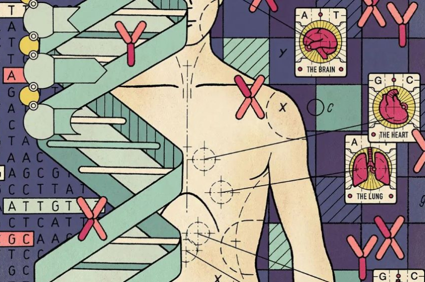 Designing future superhumans: U.S. startup provides genetic embryo selection for customers