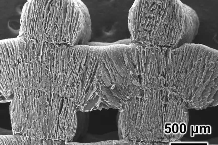 Sun-powered 3D-printed sponge turns seawater into freshwater