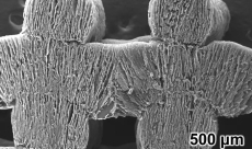 Sun-powered 3D-printed sponge turns seawater into freshwater