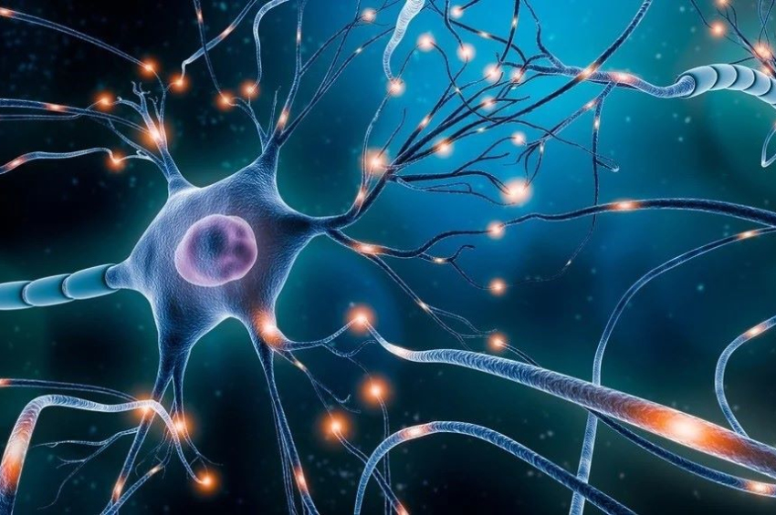 Scientists develop artificial neurons that mimic human perception