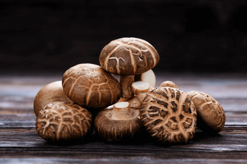 A variety of delicious mushrooms could power the next generation of eco-friendly computers